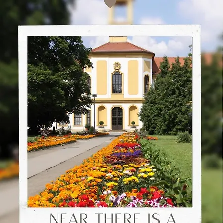 The In The Center Lejlighed *