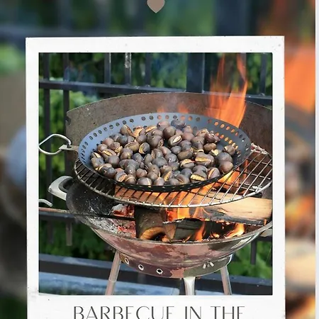 Lejlighed The In The Center